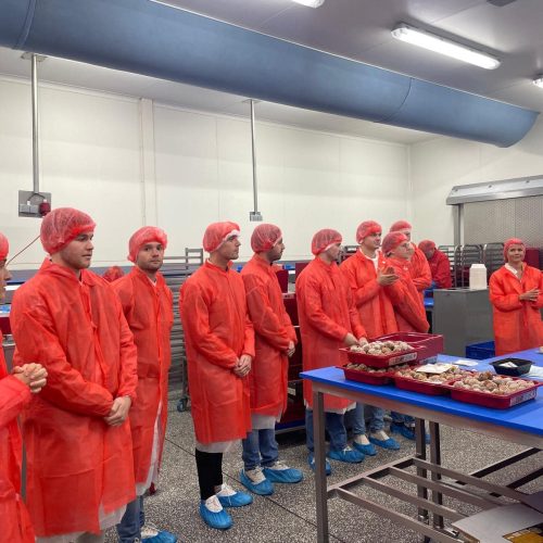 WhatsApp Image 2025-06-21 at 16.24.04 (16)